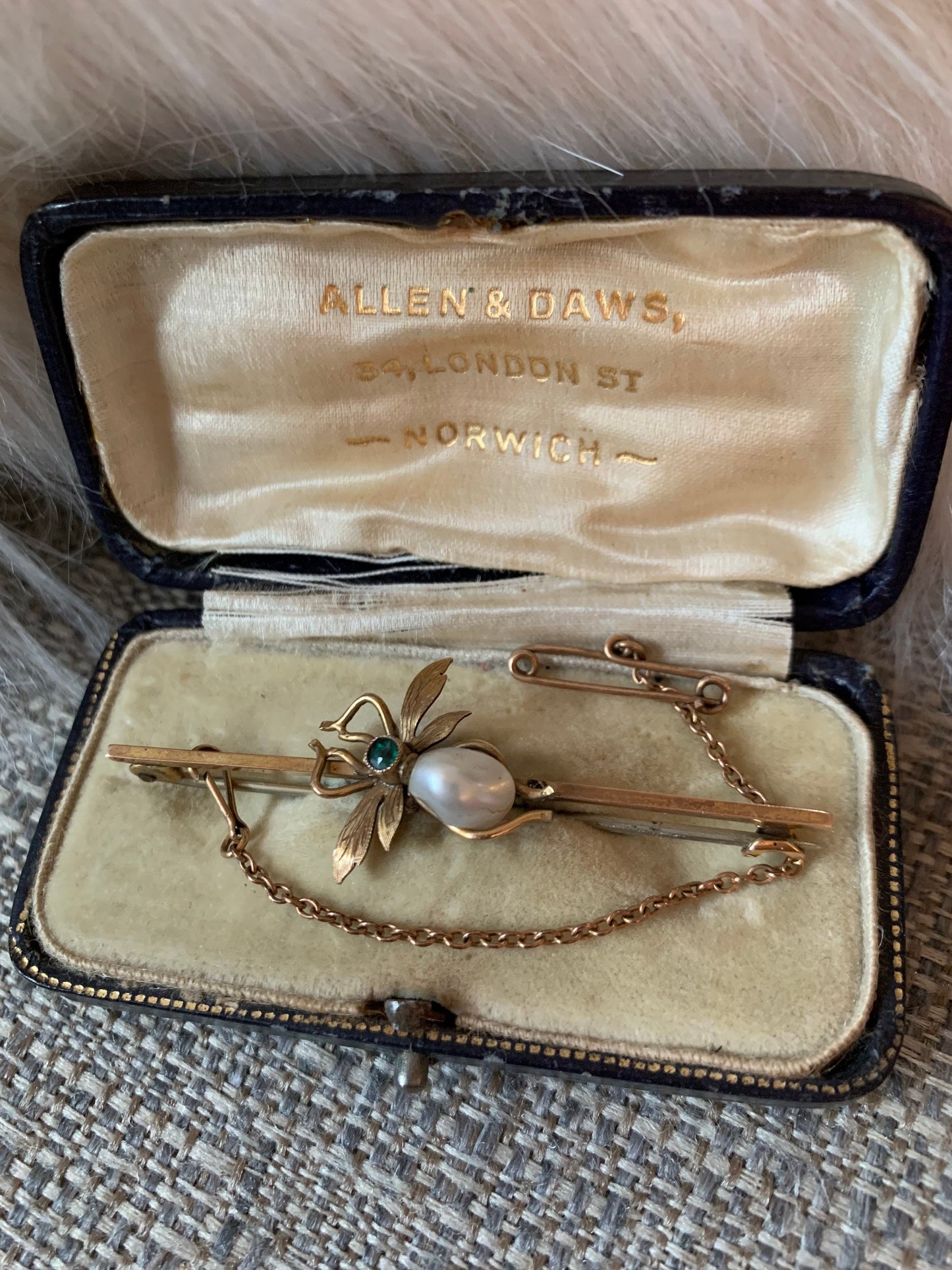 Antique Edwardian Fly Brooch with Original Jewelry Box