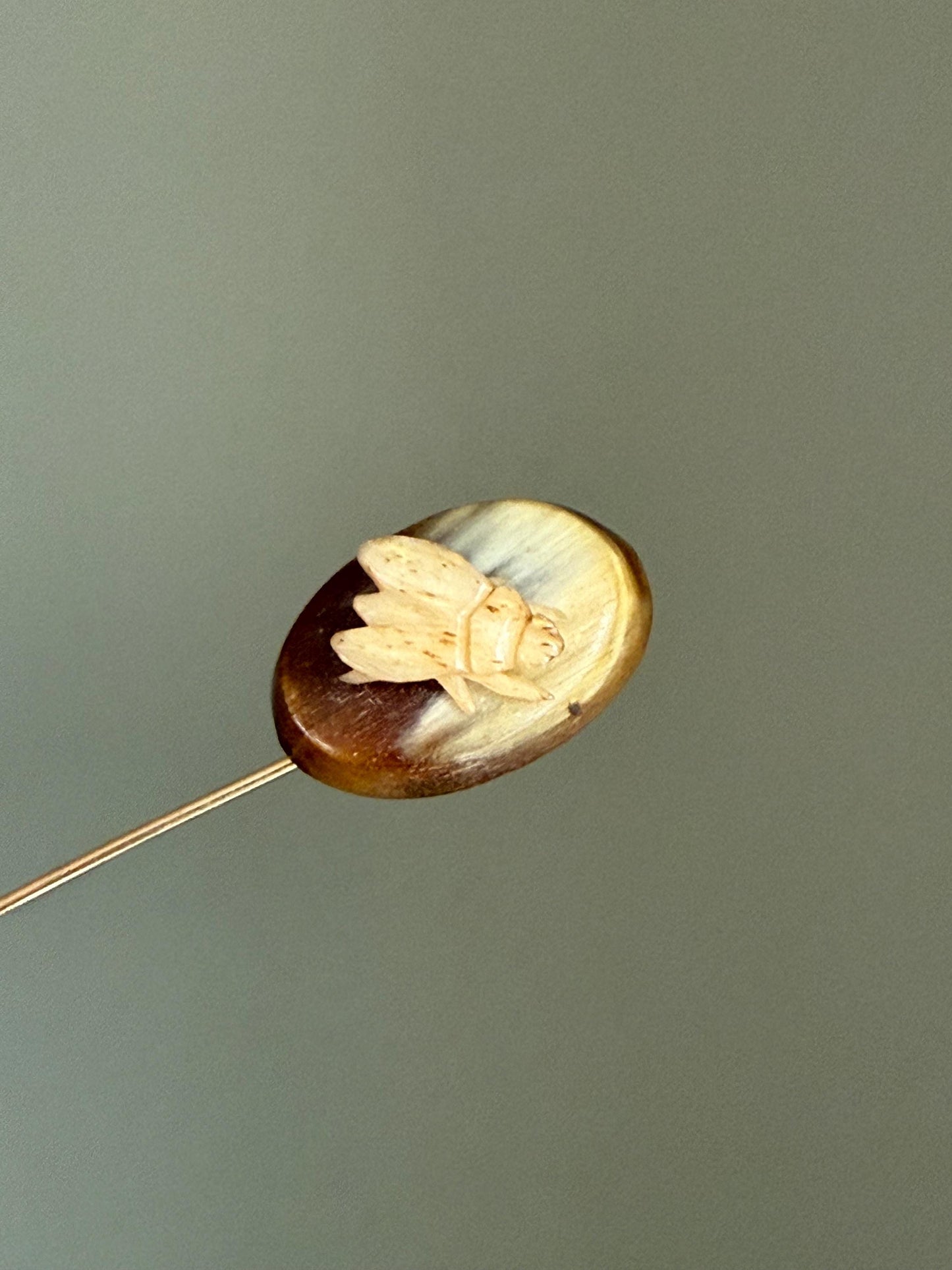 Interesting Antique Victorian Carved Antler Fly Insect Brooch Stickpin