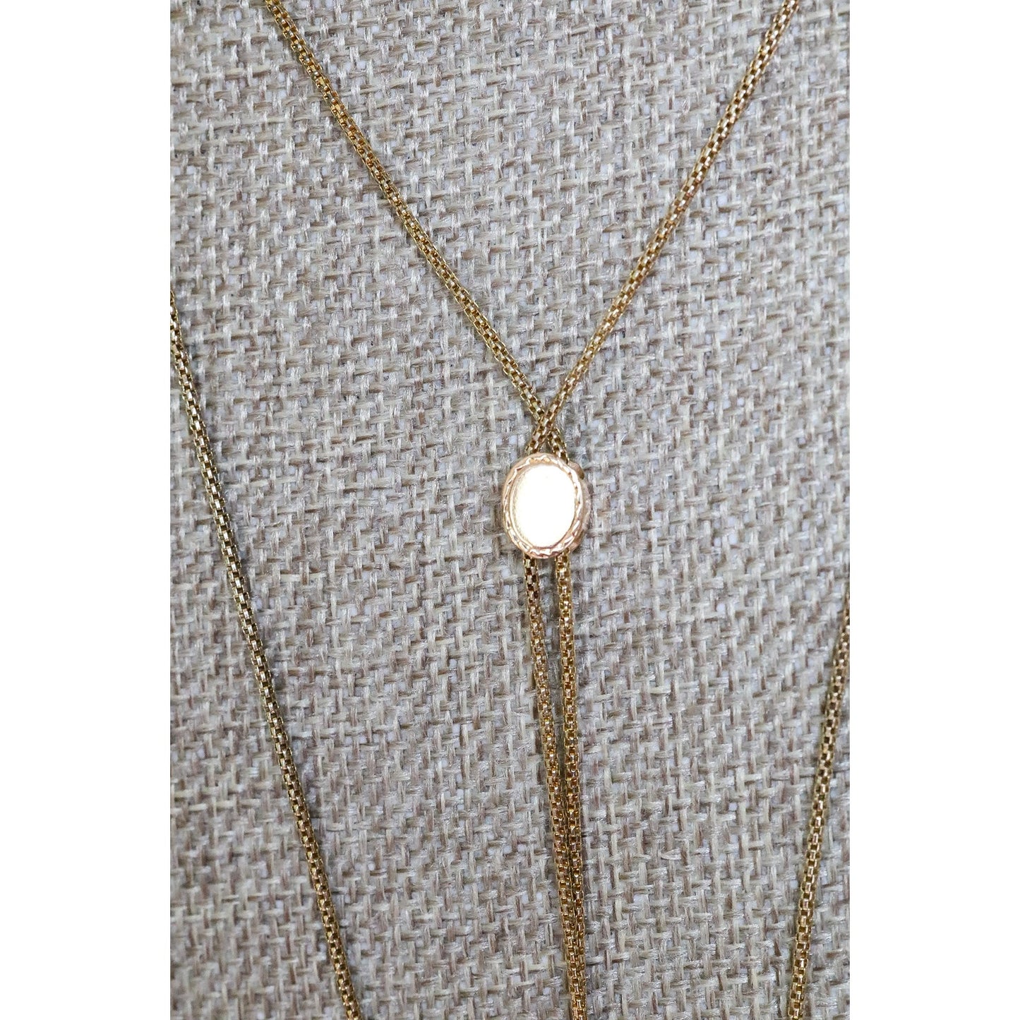Victorian Watch Chain with Tri-color 10K Gold Slide and 10K Gold Dog Clip