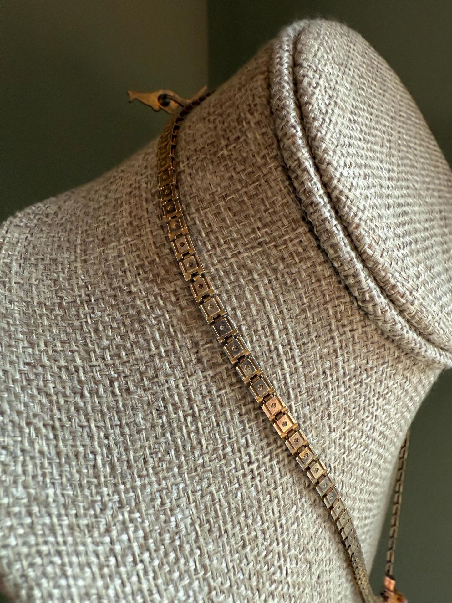 C1880 Victorian Bookchain Necklace Featuring a Cameo with Tassel Pendant