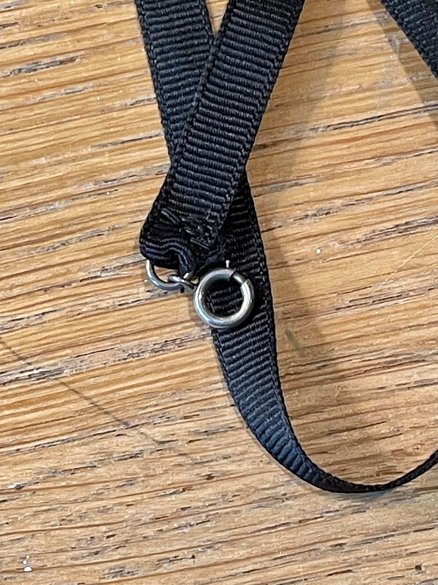 c1915 Edwardian Grossgrain Necklace with Sterling Silver Fleur De Lis Slide