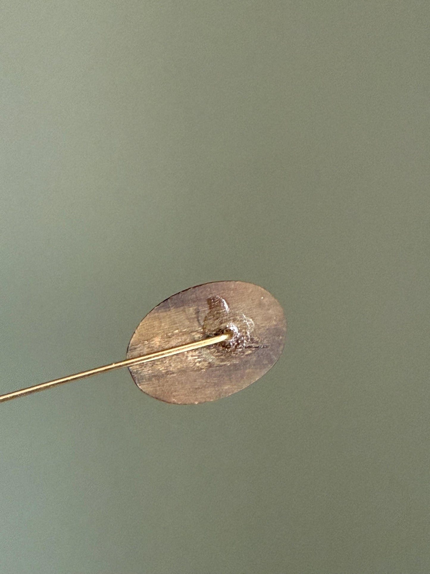 Interesting Antique Victorian Carved Antler Fly Insect Brooch Stickpin