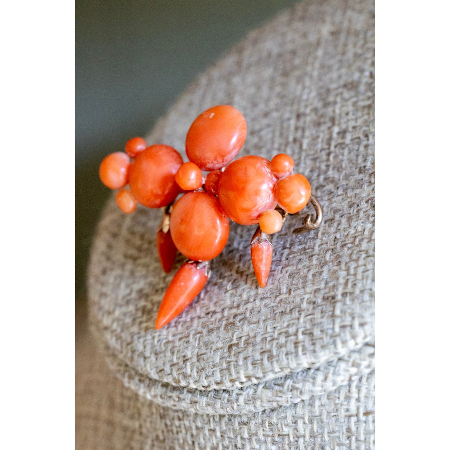 Antique Victorian Natural Untreated Coral Brooch With Hook in 10K Yellow Gold