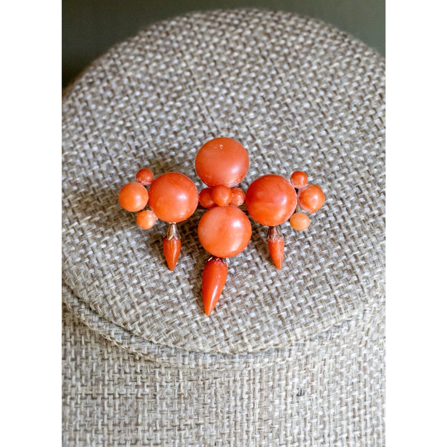 Antique Victorian Natural Untreated Coral Brooch With Hook in 10K Yellow Gold