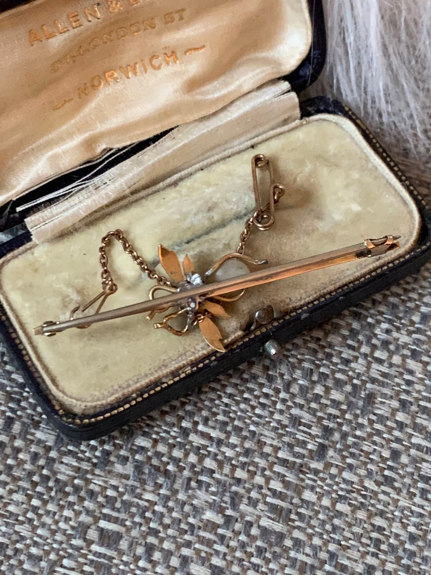 Antique Edwardian Fly Brooch with Original Jewelry Box