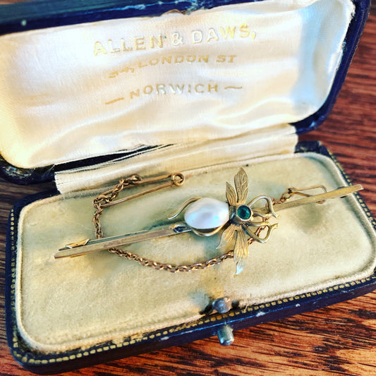 Antique Edwardian Fly Brooch with Original Jewelry Box