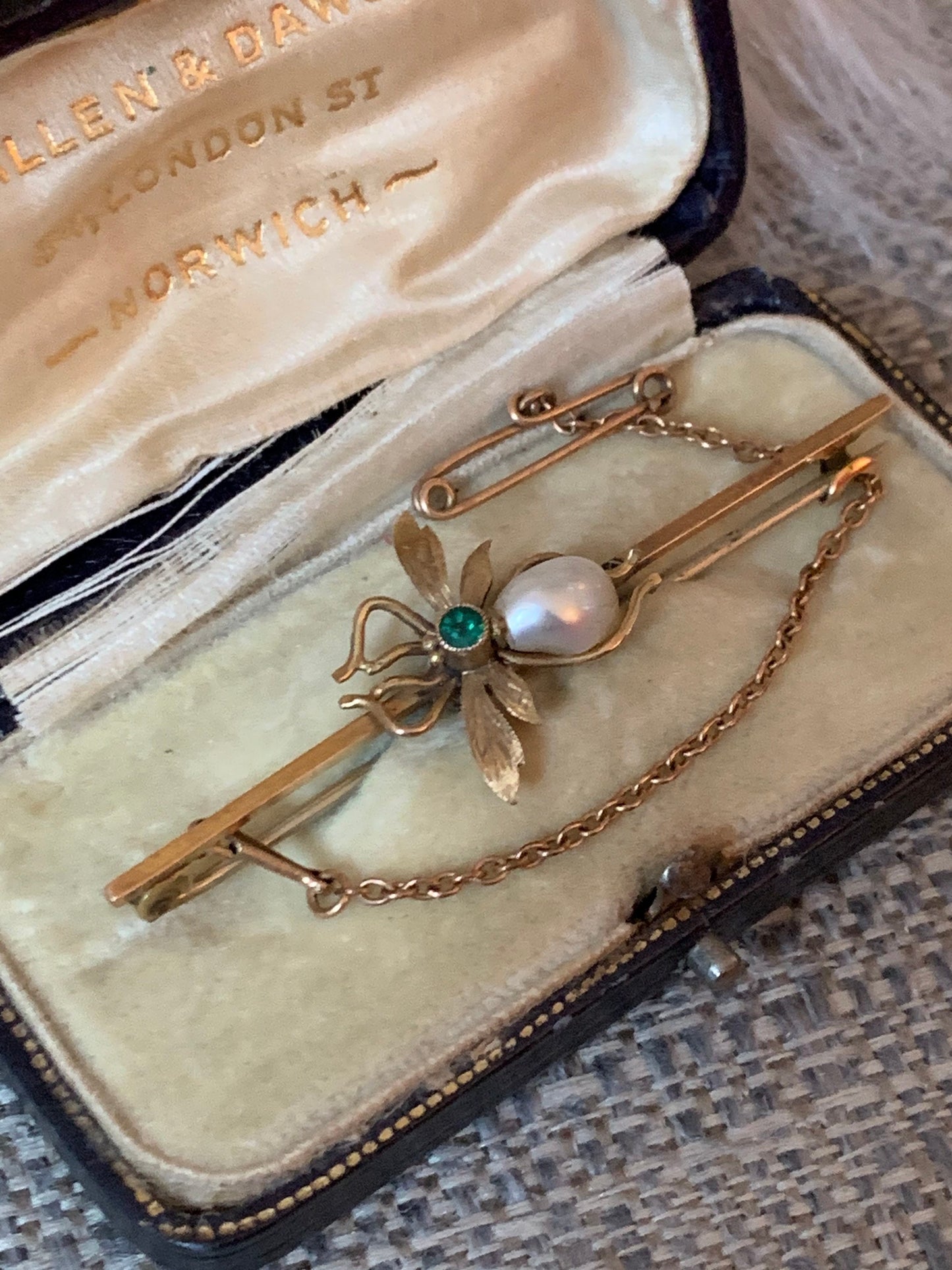 Antique Edwardian Fly Brooch with Original Jewelry Box