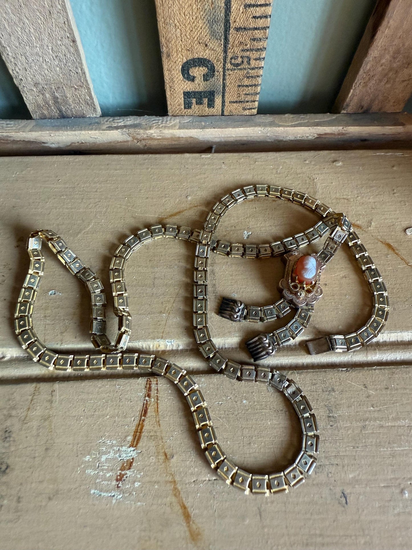 C1880 Victorian Bookchain Necklace Featuring a Cameo with Tassel Pendant