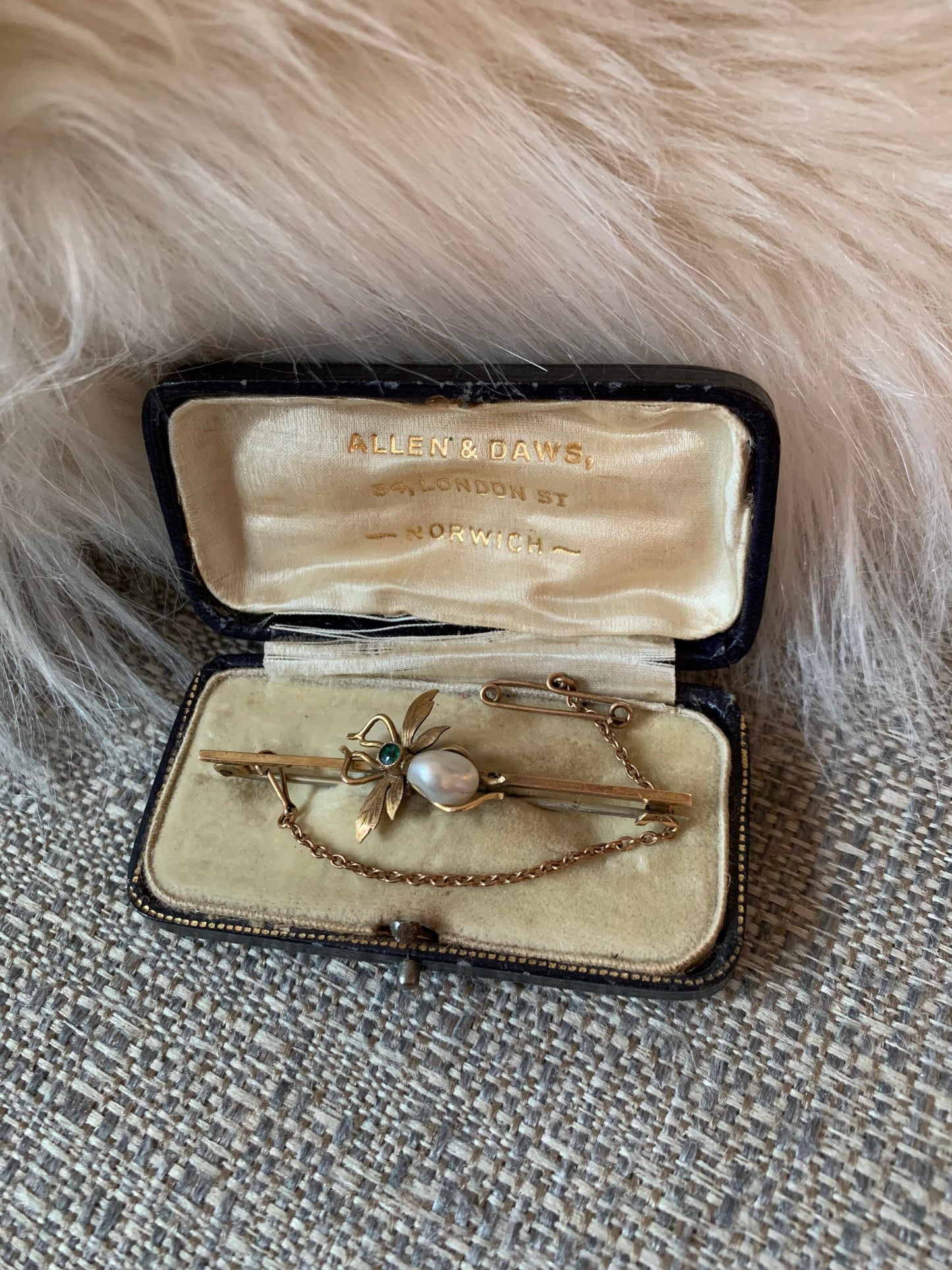 Antique Edwardian Fly Brooch with Original Jewelry Box