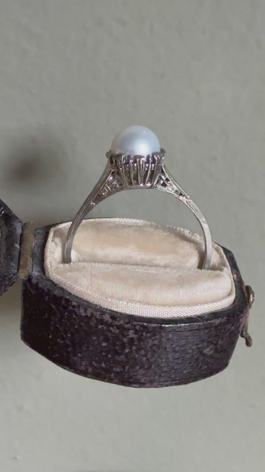 Antique Edwardian c1910 18K White Gold Pearl Ring